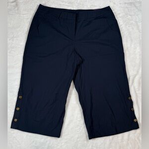 Lane Bryant Navy Blue Stripe Crop Dress Pants Size 26